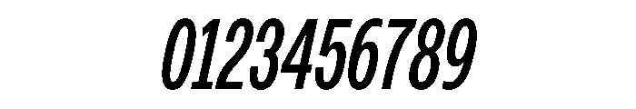 PPMonument CondensedItalicRegular Instance Font OTHER CHARS