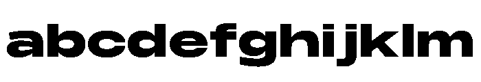 PPMonument ExtendedHeavy Instance FONT