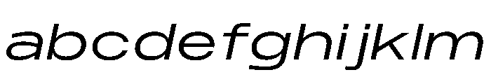 PPMonument ExtendedItalicBook Instance FONT