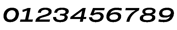 PPMonument ExtendedItalicMedium Instance Font OTHER CHARS