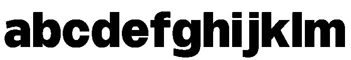 PPMonument Heavy Instance FONT