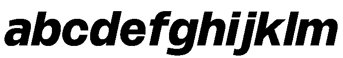 PPMonument ItalicBlack Instance FONT