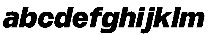 PPMonument ItalicHeavy Instance FONT