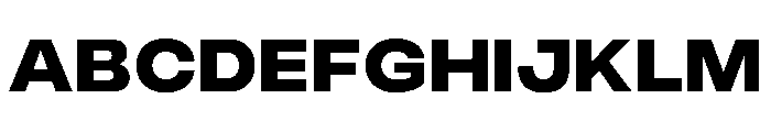 PPMonument WideBlack Instance Font UPPERCASE