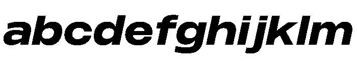 PPMonument WideItalicBlack Instance FONT