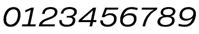 PPMonument WideItalicBook Instance 6f838446 Font OTHER CHARS