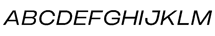 PPMonument WideItalicBook Instance 6f838446 Font UPPERCASE