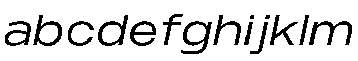 PPMonument WideItalicBook Instance FONT