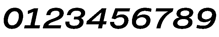 PPMonument WideItalicMedium Instance Font OTHER CHARS