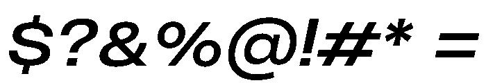 PPMonument WideItalicMedium Instance Font OTHER CHARS