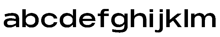 PPMonument WideMedium Instance FONT