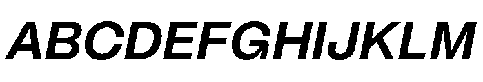 PPMori BoldItalic Instance Font UPPERCASE