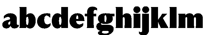 PPMuseum Black Instance FONT