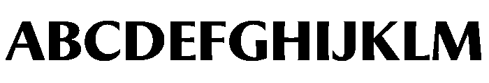 PPMuseum Bold Instance Font UPPERCASE