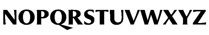 PPMuseum Bold Instance Font UPPERCASE