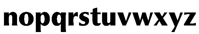 PPMuseum Bold Instance Font LOWERCASE