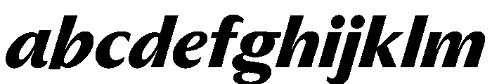PPMuseum BoldItalic Instance FONT