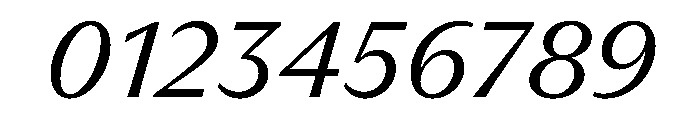 PPMuseum LightItalic Instance Font OTHER CHARS