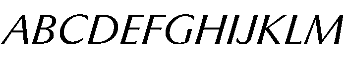 PPMuseum LightItalic Instance Font UPPERCASE