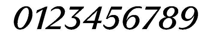 PPMuseum RegularItalic Instance Font OTHER CHARS
