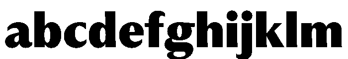 PPMuseum Ultrabold Instance FONT