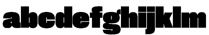 PPNeueCorp CompactBlack Instance FONT
