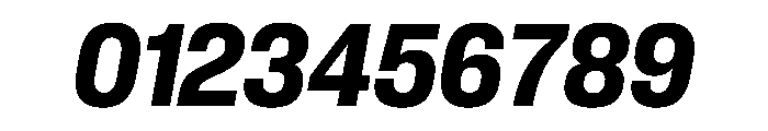 PPNeueCorp CompactBoldItalic Instance Font OTHER CHARS