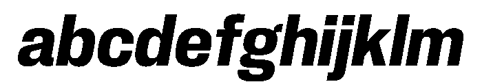 PPNeueCorp CompactBoldItalic Instance FONT