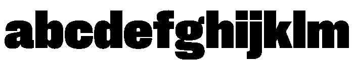 PPNeueCorp CompactHeavy Instance E614d9e0 FONT