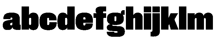 PPNeueCorp CompactHeavy Instance FONT