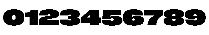 PPNeueCorp ExtendedHeavy Instance 4f1ab3a3 Font OTHER CHARS