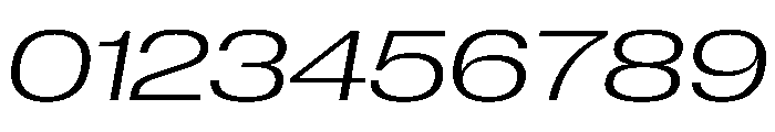 PPNeueCorp ExtendedLightItalic Instance C72a45b0 Font OTHER CHARS
