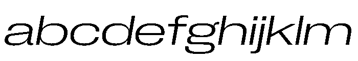 PPNeueCorp ExtendedLightItalic Instance FONT