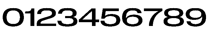 PPNeueCorp ExtendedMedium Instance 905d937d Font OTHER CHARS
