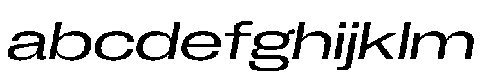 PPNeueCorp ExtendedRegularItalic Instance FONT