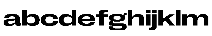 PPNeueCorp ExtendedSemibold Instance 373f2e80 FONT