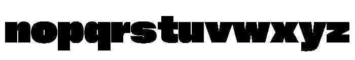 PPNeueCorp NormalBlack Instance Font LOWERCASE
