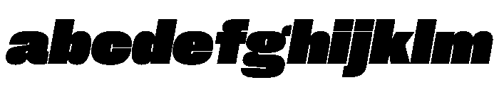 PPNeueCorp NormalBlackItalic Instance FONT