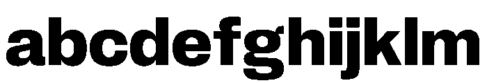 PPNeueCorp NormalBold Instance 6072a3b0 FONT