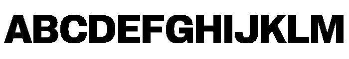 PPNeueCorp NormalBold Instance Font UPPERCASE