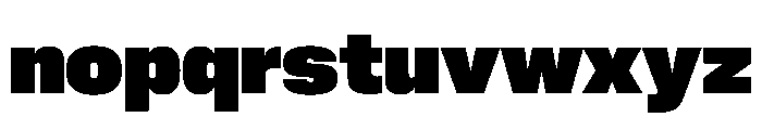 PPNeueCorp NormalHeavy Instance C2bd7eb2 Font LOWERCASE