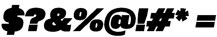 PPNeueCorp NormalHeavyItalic Instance Font OTHER CHARS