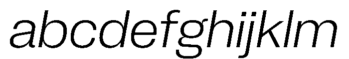 PPNeueCorp NormalLightItalic Instance FONT