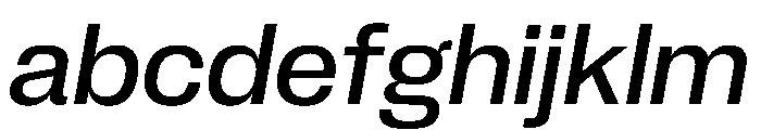 PPNeueCorp NormalMediumItalic Instance FONT