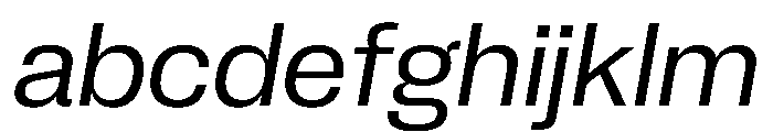 PPNeueCorp NormalRegularItalic Instance 411e675a FONT