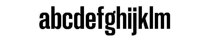 PPNeueCorp TightBold Instance FONT
