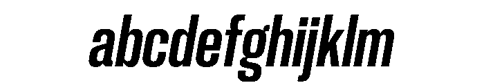PPNeueCorp TightBoldItalic Instance FONT