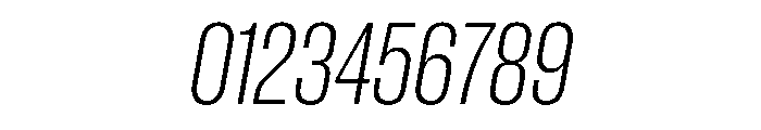 PPNeueCorp TightLightItalic Instance Font OTHER CHARS