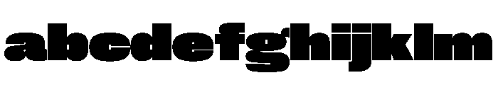 PPNeueCorp WideBlack Instance Ab639024 FONT