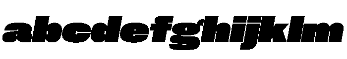 PPNeueCorp WideBlackItalic Instance FONT